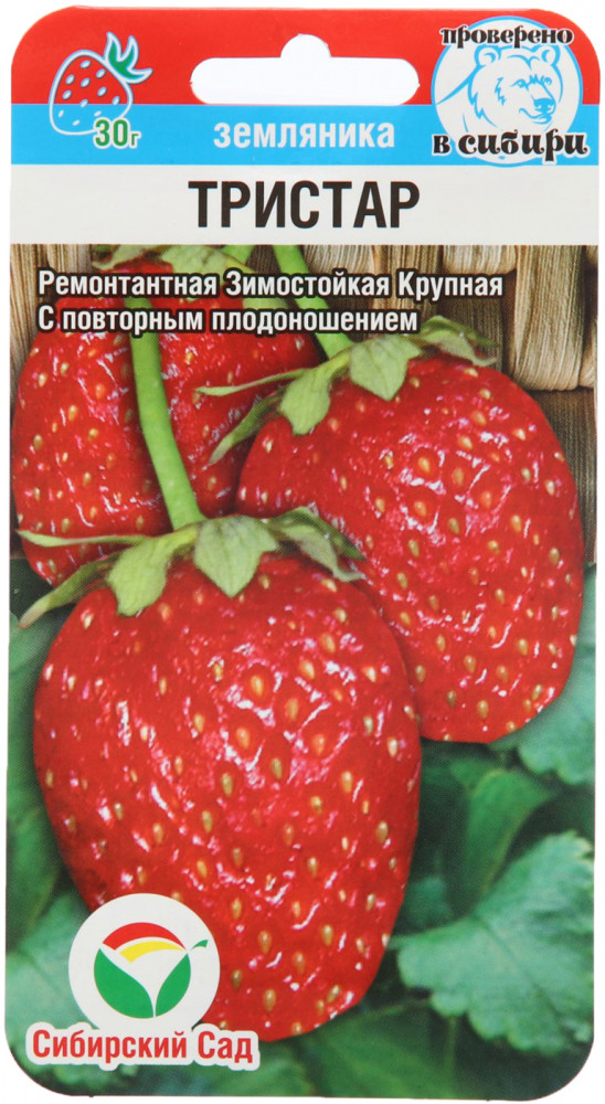 Семена земляники «Тристар» | Сибирский Сад