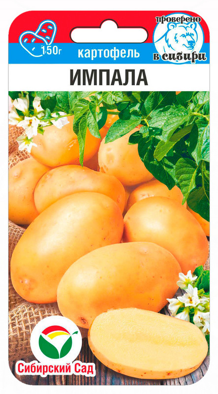 Семена картофеля «Импала» | Сибирский Сад