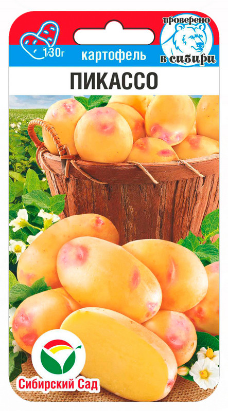 Семена картофеля «Пикассо» | Сибирский Сад