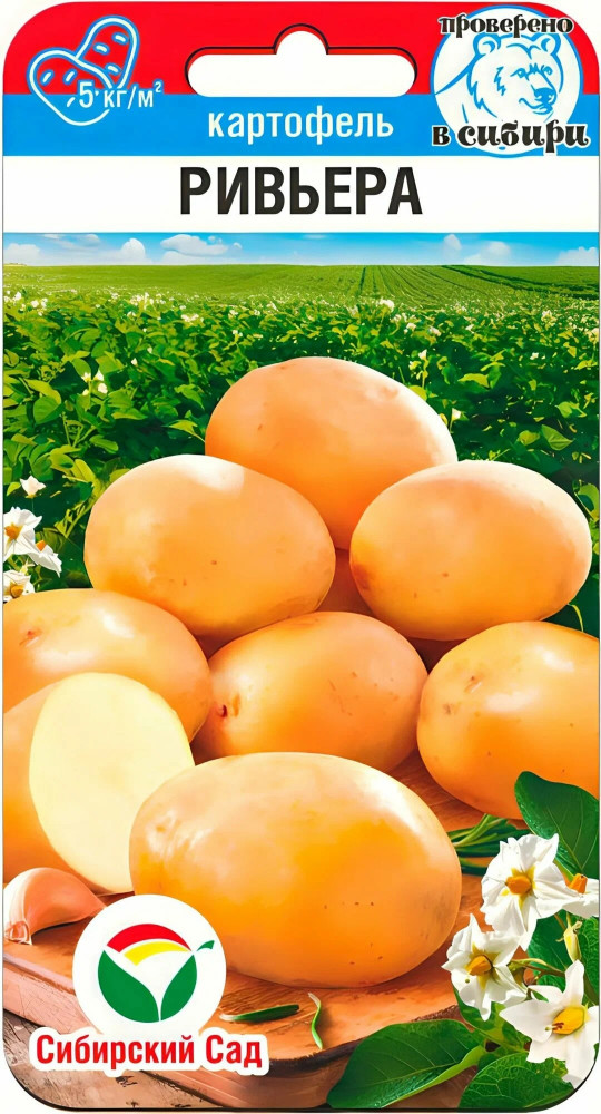 Семена картофеля «Ривьера» | Сибирский Сад