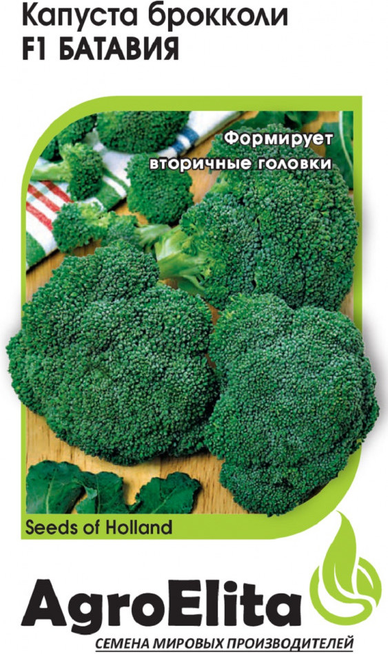 Семена капусты брокколи «Батавия F1» | AgroElita