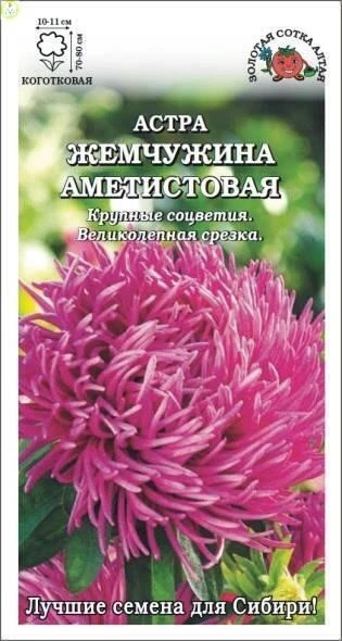 Семена астры «Жемчужина аметистовая» | Золотая сотка Алтая