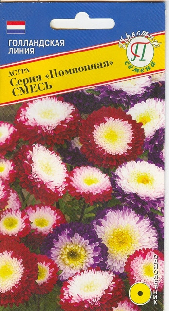 Смесь семян астры | Помпонная | Престиж