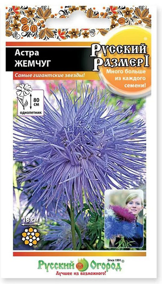 Семена астры «Жемчуг» | Русский Огород