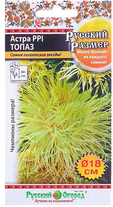 Семена астры «Топаз» | Русский Огород