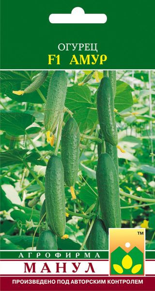Семена огурцов «Амур F1» | Манул
