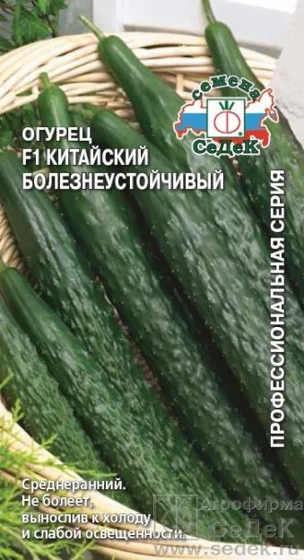 Семена огурцов «Китайский болезнеустойчивый F1» | Профессиональная серия | СеДеК