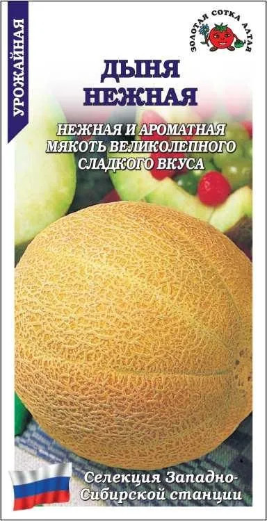 Семена дыни «Нежная» | Золотая сотка Алтая