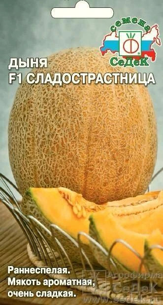 Семена дыни «Сладострастница» | СеДеК