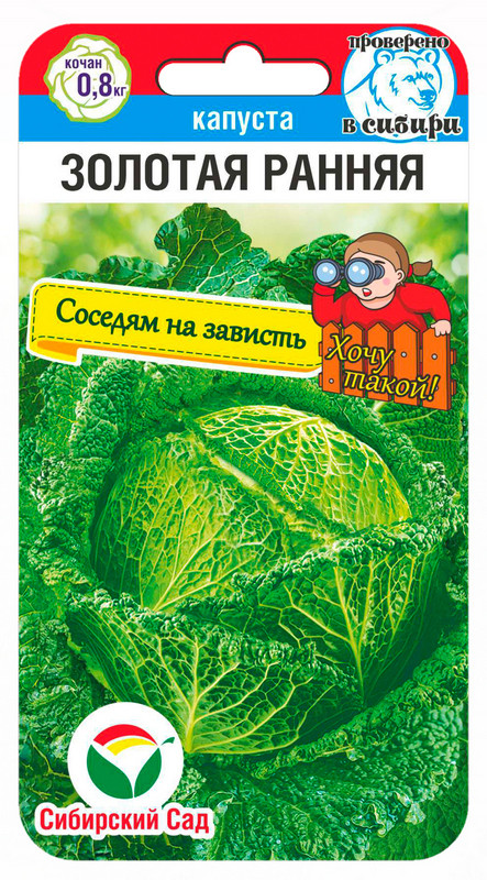 Семена капусты савойской «Золотая ранняя» | Соседям на зависть | Сибирский Сад