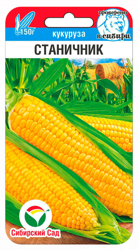 Семена кукурузы «Станичник» | Сибирский Сад