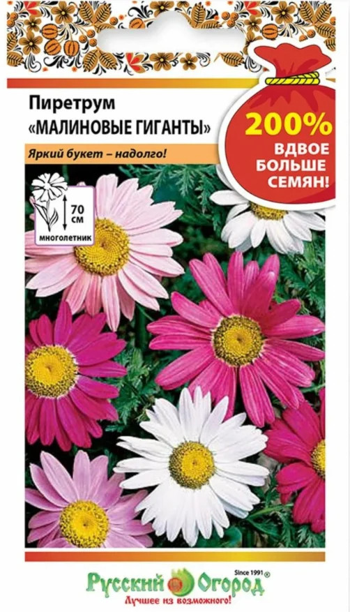 Семена цветов «Пиретрум. Малиновые гиганты» | Русский Огород
