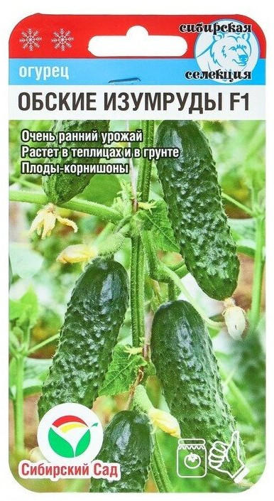 Семена огурцов «Обские изумруды F1» | Сибирский Сад