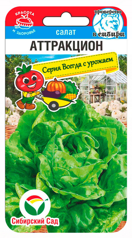 Семена салата «Аттракцион» | Всегда с урожаем | Сибирский Сад