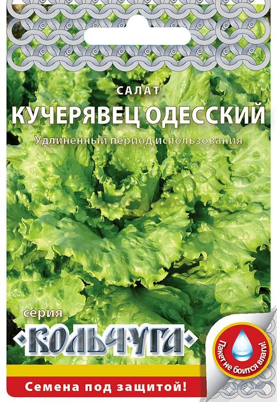 Семена салата кочанного «Кучерявец одесский» | Кольчуга | Русский Огород