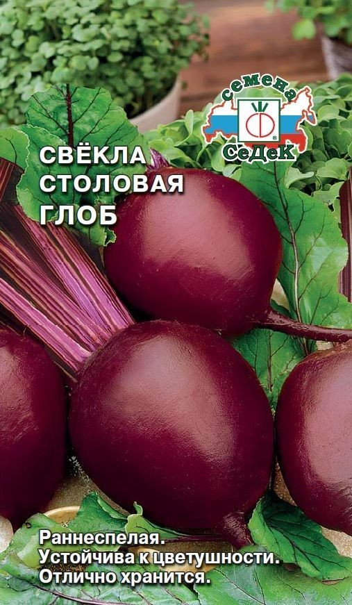 Семена свёклы столовой «Глоб» | СеДеК