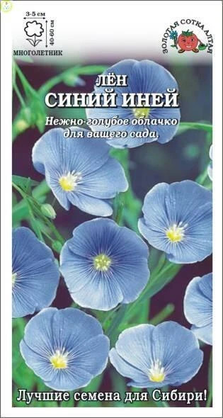 Семена льна «Синий Иней» | Золотая сотка Алтая