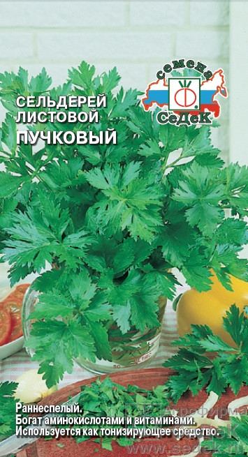 Семена сельдерея листового «Пучковый» | СеДеК