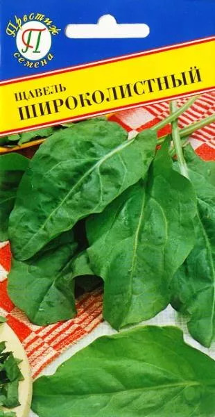 Семена щавеля «Широколистный» | Престиж семена