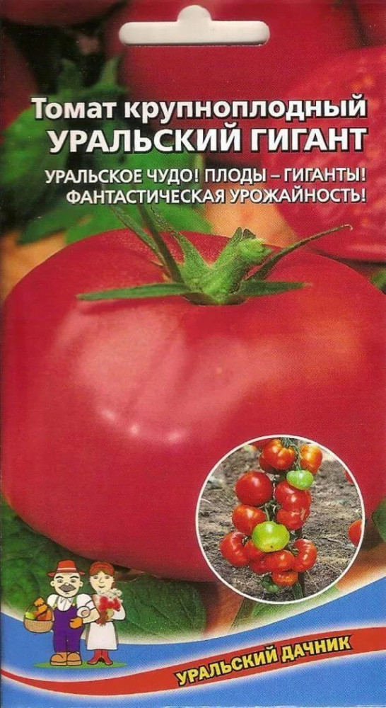 Семена томата «Уральский гигант» | Уральский дачник