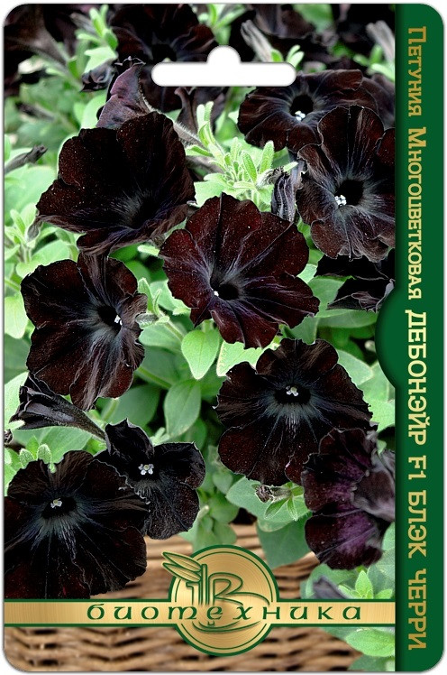 Семена петунии «Дебонэйр F1 Блэк Черри» | Биотехника