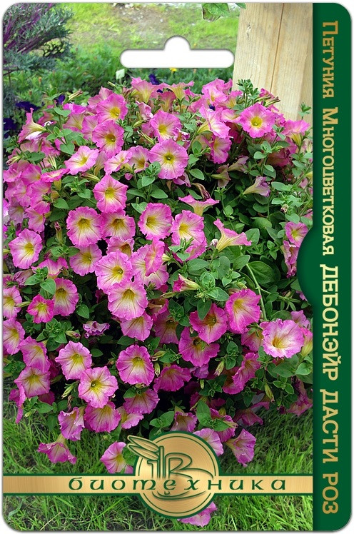 Семена петунии «Дебонэйр F1 Дасти Роз» | Биотехника