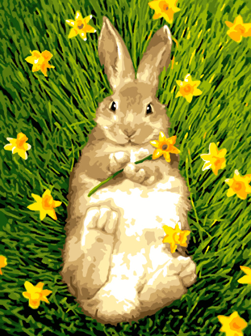 Картина по номерам «Зайчик» | Lori