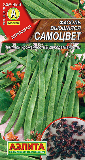 Семена фасоли «Самоцвет» | Аэлита