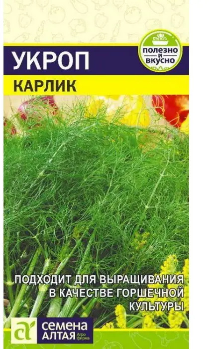 Семена укропа «Карлик» | Семена Алтая
