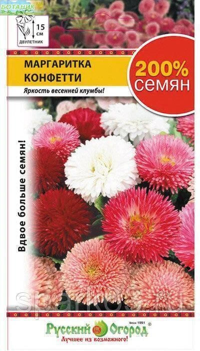 Семена маргаритки «Конфетти» | Русский Огород
