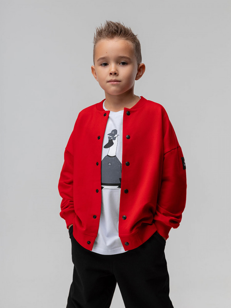 Толстовка для мальчиков | Bodo