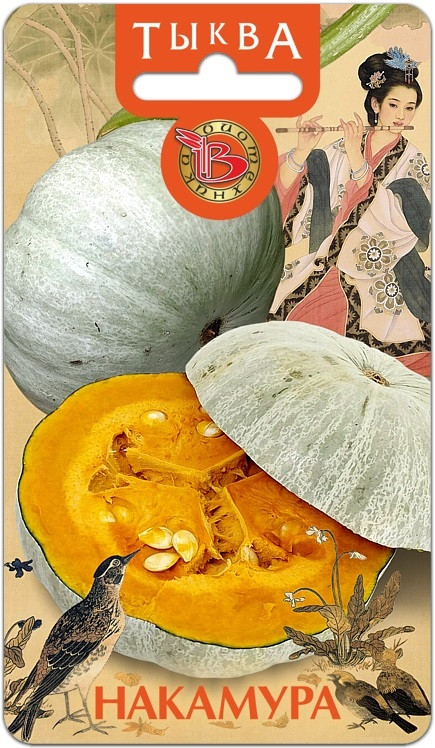 Семена тыквы «Накамура» | Биотехника