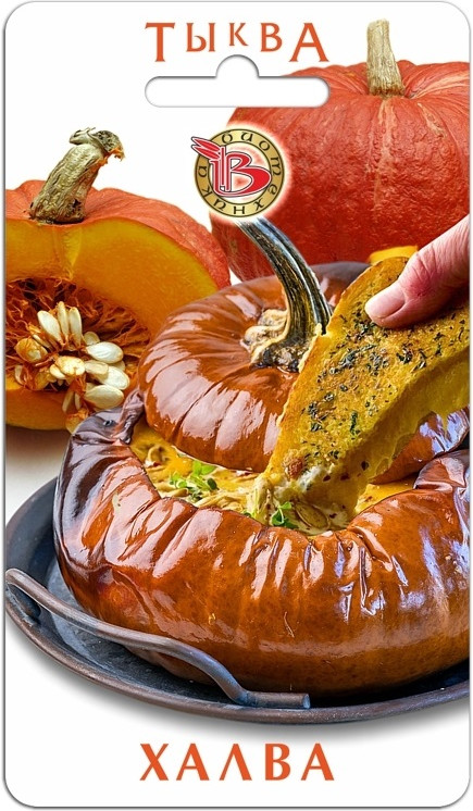 Семена тыквы «Халва» | Биотехника