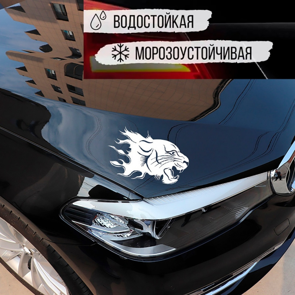 Наклейка на автомобиль