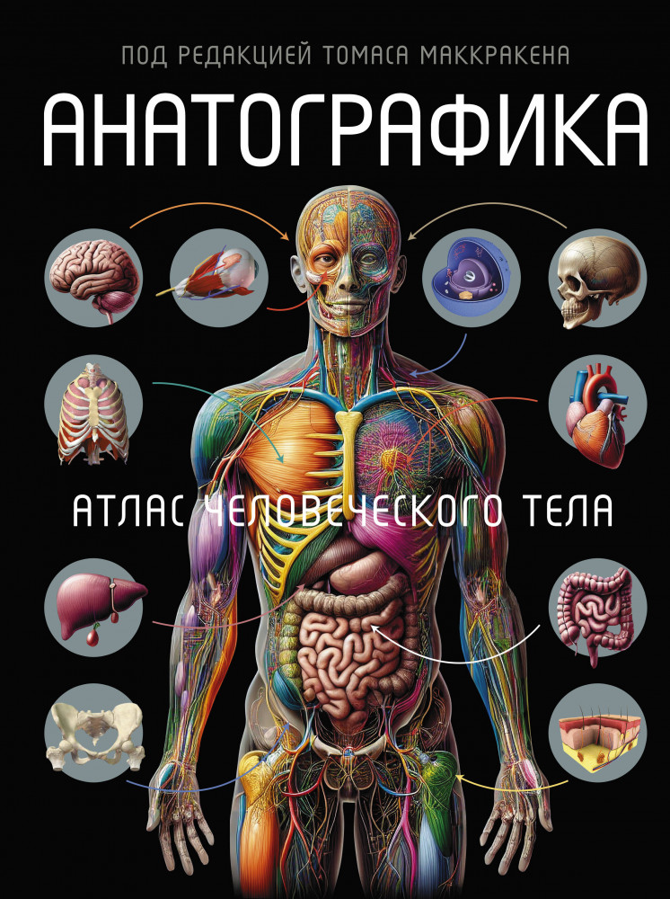 Анатографика. Атлас человеческого тела | Атлас человека: профессионально-популярное издание