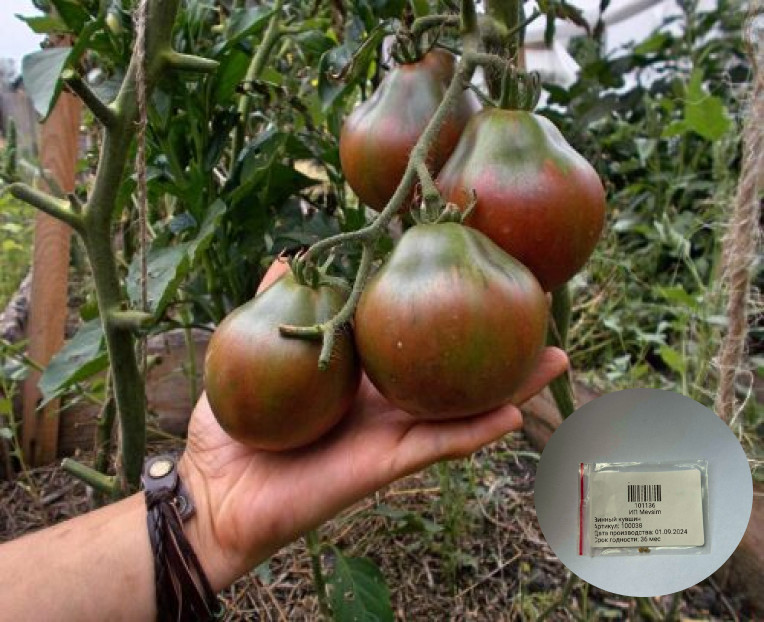 Коллекционные семена томата «Винный кувшин»