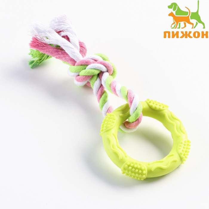 Игрушка жевательная с канатом «Кусочек солнца» | Пижон