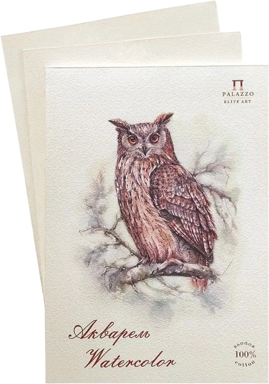 Планшет для акварели «Филин» | Палаццо | Лилия Холдинг