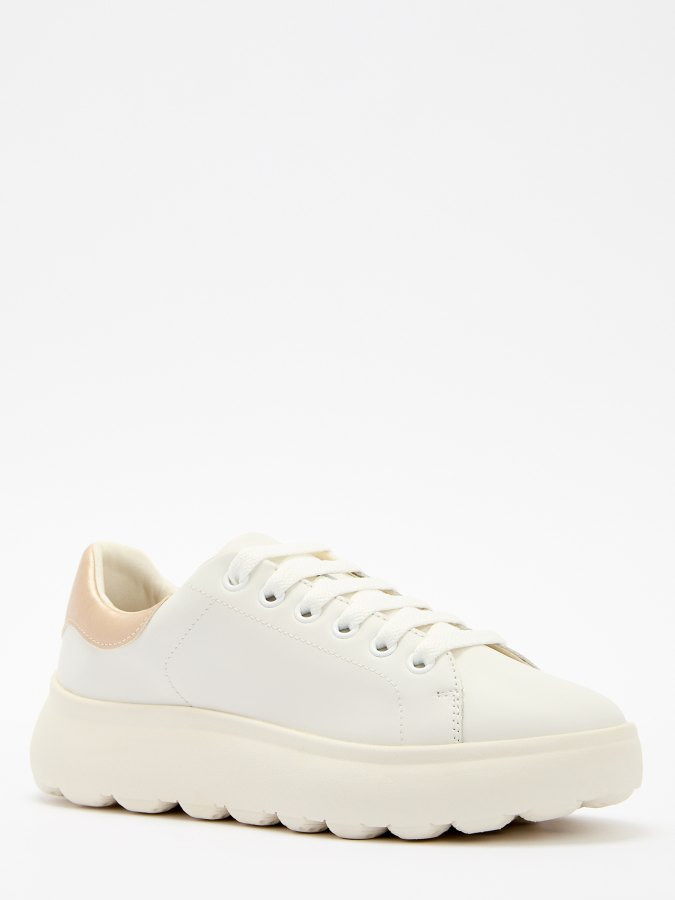 Кеды женские | GEOX