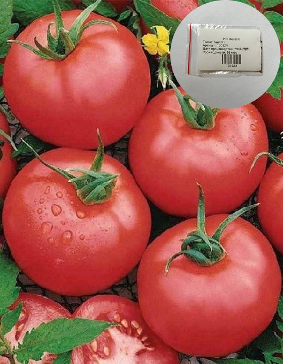 Семена гибридного томата «Таня F1»