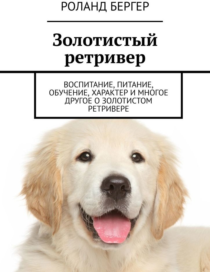 Золотистый ретривер. Воспитание, питание, обучение, характер и многое другое о золотистом ретривере