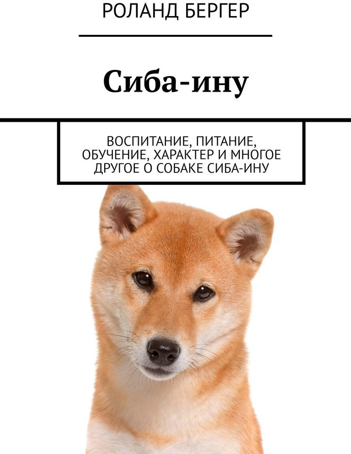 Сиба-ину. Воспитание, питание, обучение, характер и многое другое о собаке cиба-ину