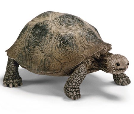 Фигурка декоративная "Гигантская черепаха" | Морские животные | Schleich