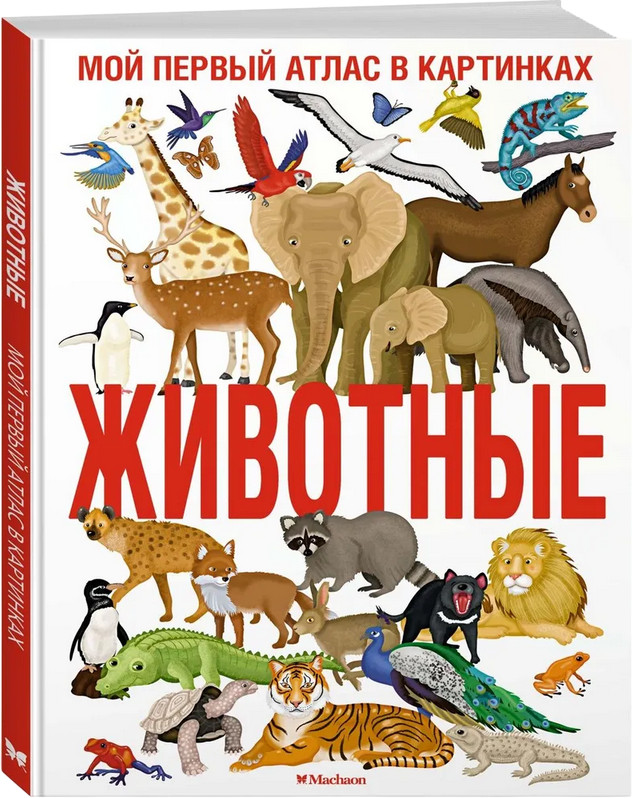 Животные. Мой первый атлас в картинках | Энциклопедии