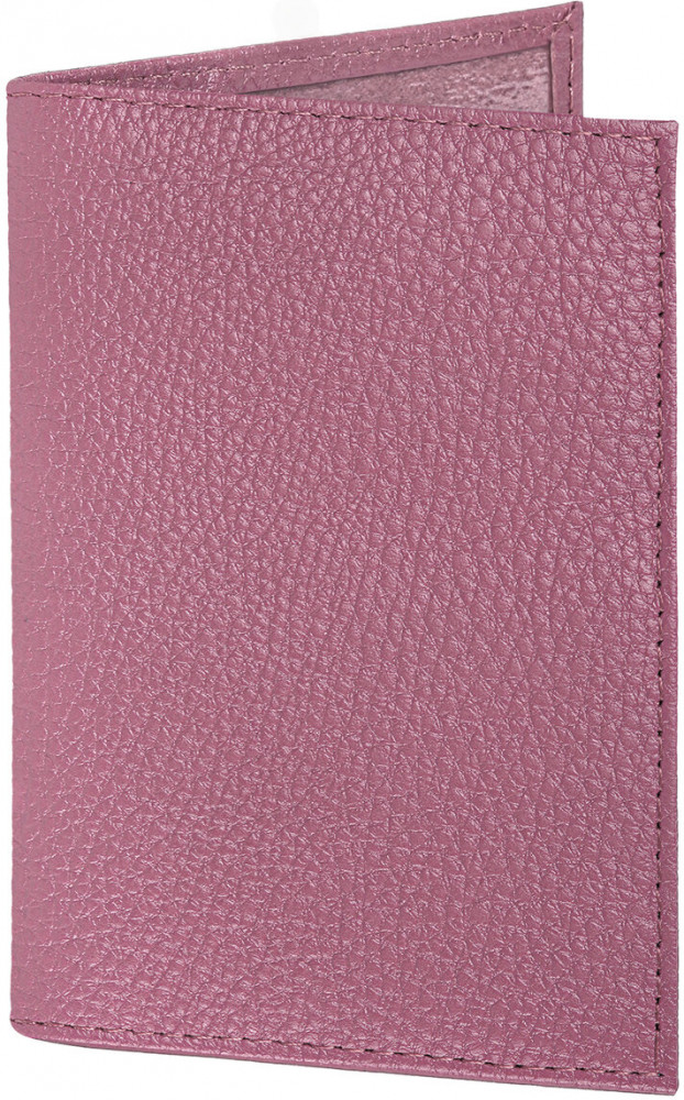 Обложка для паспорта | Brauberg