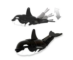 Касатка — акробат | Море чудес | Redwood Ventures