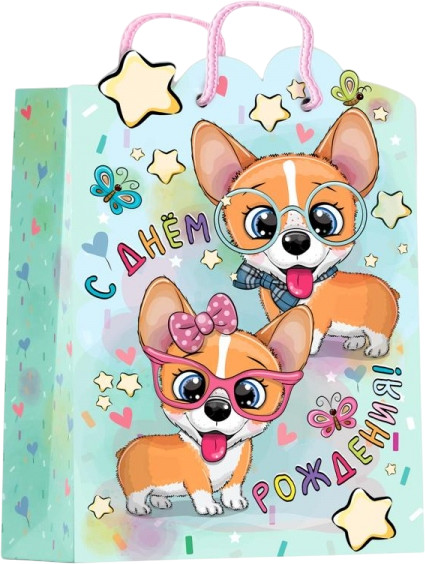 Пакет подарочный | Чудо праздник