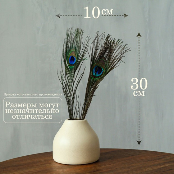 Набор перьев павлина для декора | Школа талантов