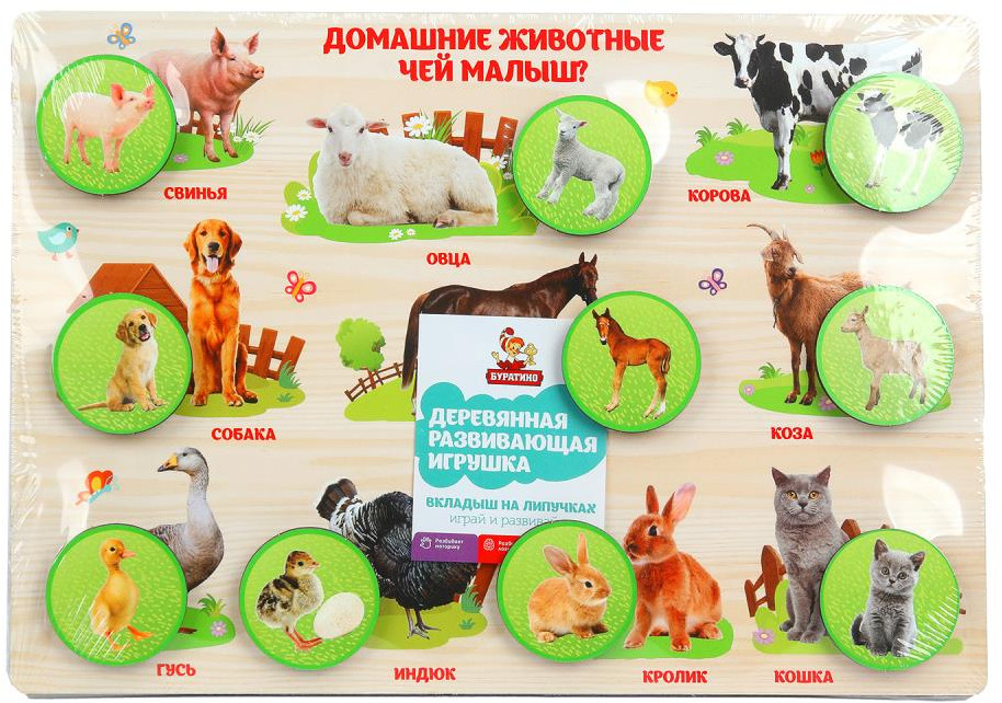 Рамка-вкладыш на липучках «Домашние животные. Чей малыш?» | Буратино