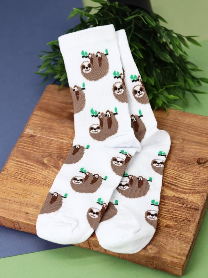 Носки женские «Sloth on branch» | iLikeGift
